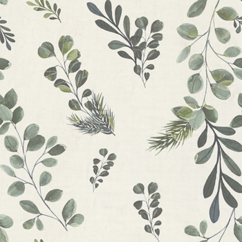 Eucalyptus
